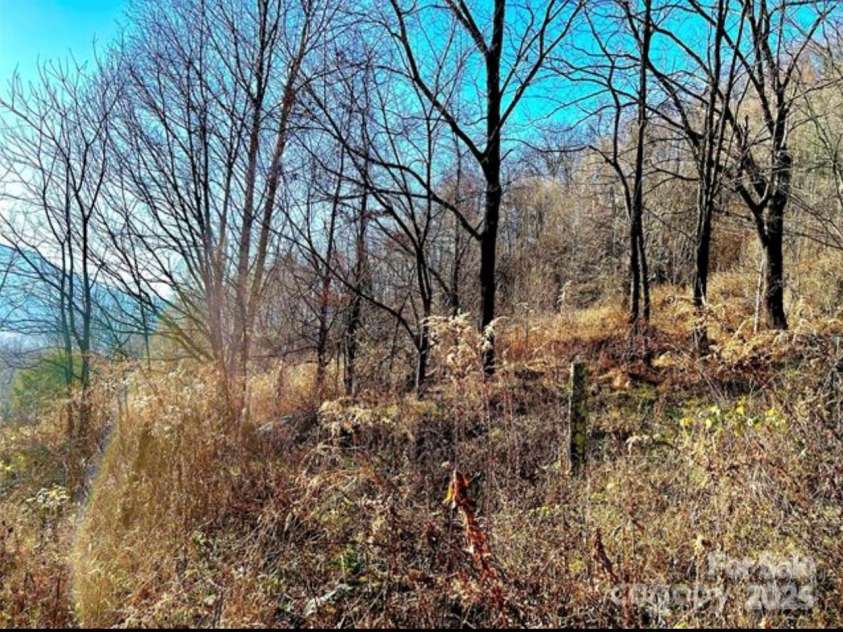 108 Lanning Road, Clyde, NC 28721.  MLS# CAR4294325, YatesRealty ID 1941. Pasture 