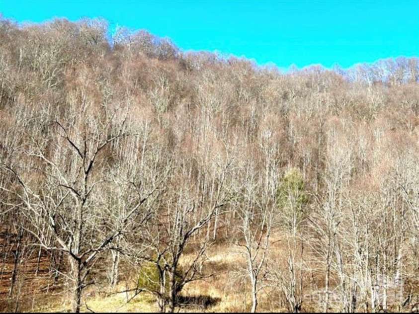 108 Lanning Road, Clyde, NC 28721.  MLS# CAR4294325, YatesRealty ID 1941. Pasture. 