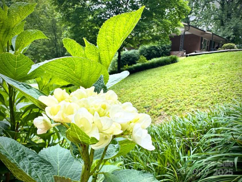 3503 Wyndham Lane, Lenoir, NC 28645.  MLS# CAR4264835, YatesRealty ID 19411. 