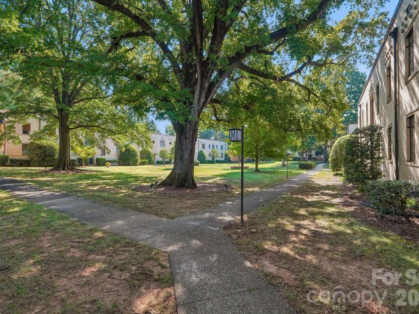 1121 Myrtle Avenue, Charlotte, NC 28203.  MLS# CAR4421930, YatesRealty ID 19454. Mature tree canopies