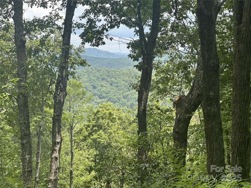 650 Faircrest Lane, Penrose, NC 28766.  MLS# CAR4242109, YatesRealty ID 19454. Summer long range views
