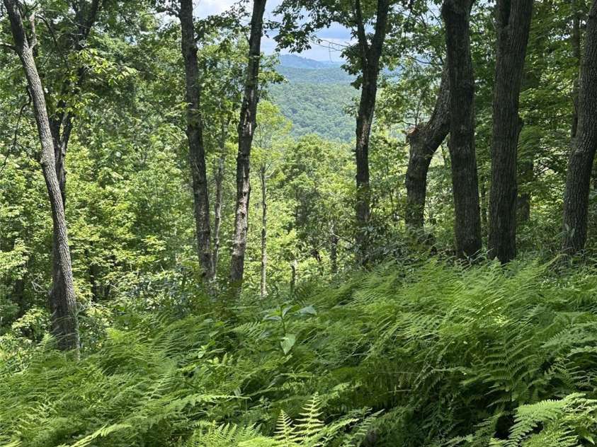 650 Faircrest Lane, Penrose, NC 28766.  MLS# CAR4242109, YatesRealty ID 19454. Summer views
