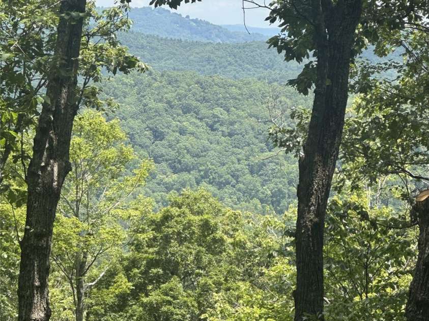 650 Faircrest Lane, Penrose, NC 28766.  MLS# CAR4242109, YatesRealty ID 19454. Summer views