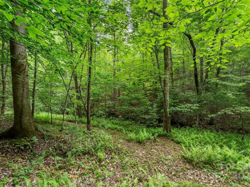 4090 Pea Ridge Road, Morganton, NC 28655.  MLS# CAR4266270, YatesRealty ID 19516. 