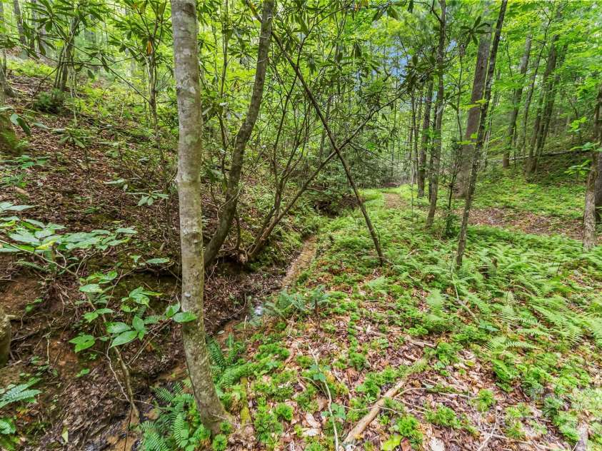 4090 Pea Ridge Road, Morganton, NC 28655.  MLS# CAR4266270, YatesRealty ID 19516. 