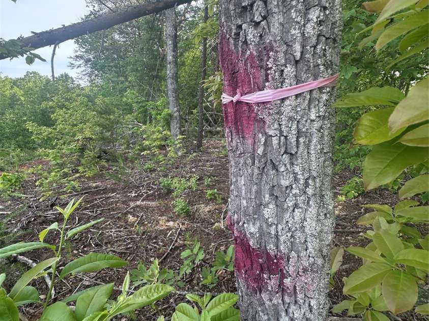 Lot 2 Smawley Road, Bostic, NC 28018.  MLS# CAR4257759, YatesRealty ID 19518. 