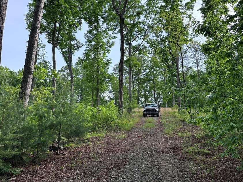 Lot 2 Smawley Road, Bostic, NC 28018.  MLS# CAR4257759, YatesRealty ID 19518. 
