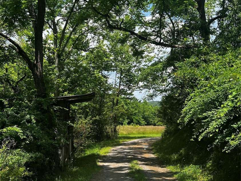 2255 NC Hwy 268 Highway, Wilkesboro, NC 28697.  MLS# CAR4280174, YatesRealty ID 1955. 