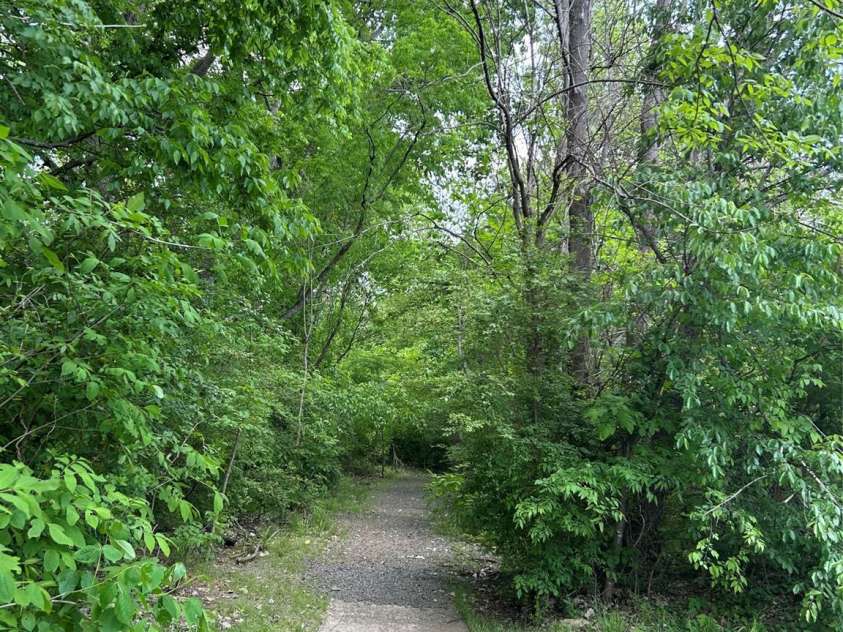 15037 Taylor Ridge Lane, Charlotte, NC 28273.  MLS# CAR4255229, YatesRealty ID 19594. 