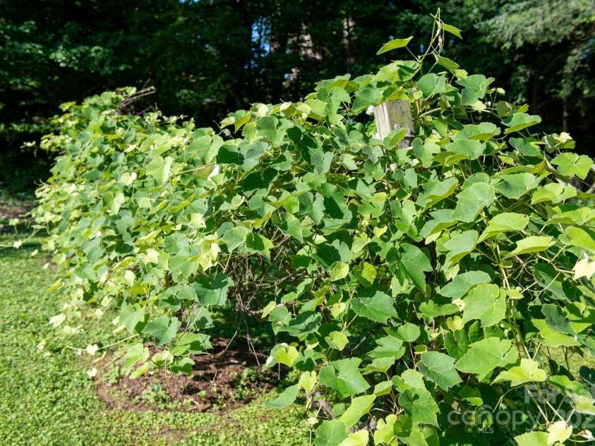 308 Maple Street, Hudson, NC 28638.  MLS# CAR4270195, YatesRealty ID 19598. 