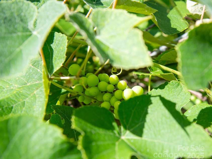 308 Maple Street, Hudson, NC 28638.  MLS# CAR4270195, YatesRealty ID 19598. 