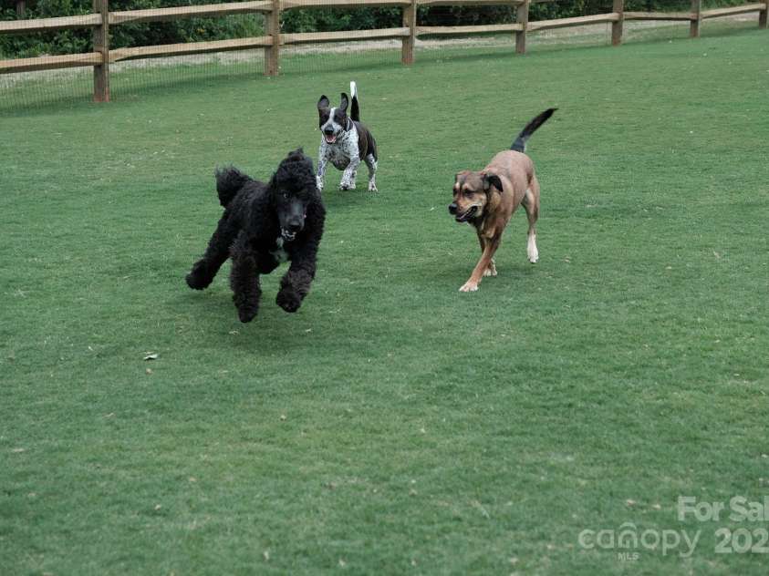 22 Honeysuckle Lane, Clover, SC 29710.  MLS# CAR4266746, YatesRealty ID 19603. Community Dog Park