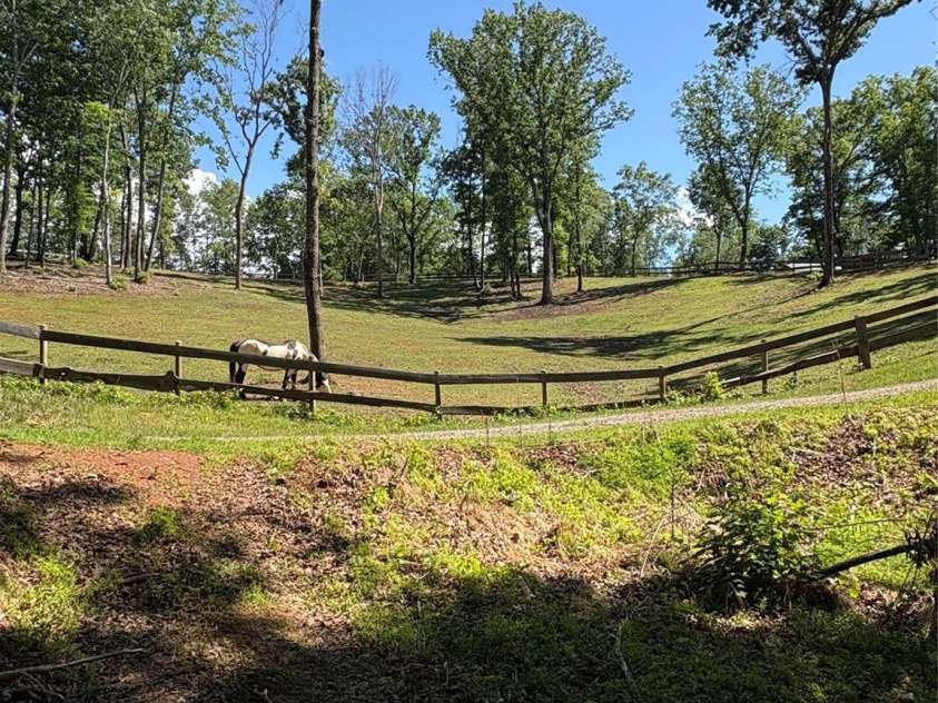 250 Burt Blackwell Road, Mill Spring, NC 28756.  MLS# CAR4346240, YatesRealty ID 19603. 