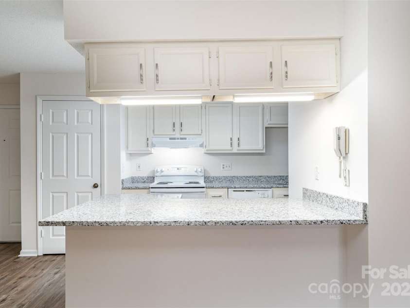 10240 Rose Meadow Lane, Charlotte, NC 28277.  MLS# CAR4213685, YatesRealty ID 19614. Breakfast Bar with Top Lights
