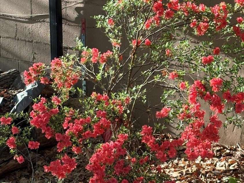 256 West Ridge Drive, Burnsville, NC 28714.  MLS# CAR4259013, YatesRealty ID 19685. 