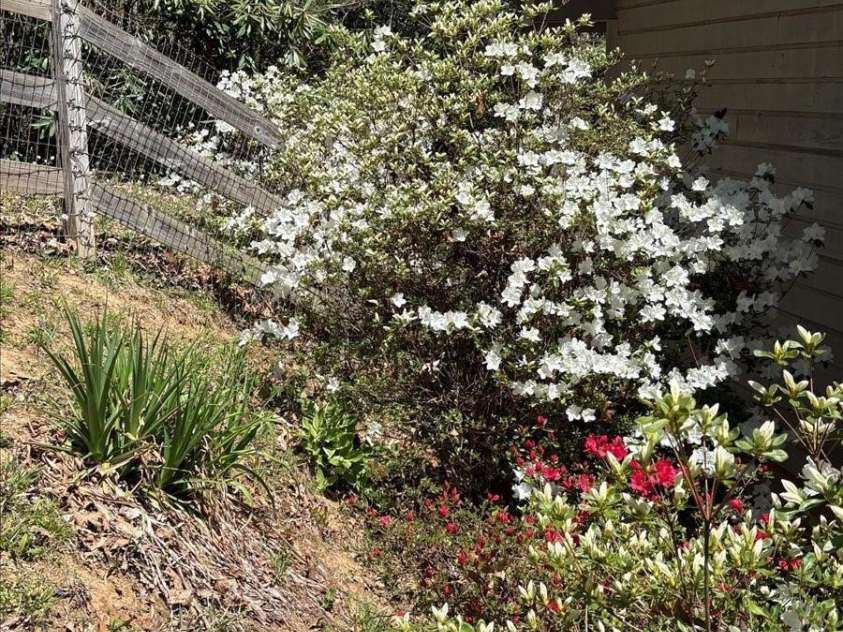 256 West Ridge Drive, Burnsville, NC 28714.  MLS# CAR4259013, YatesRealty ID 19685. 