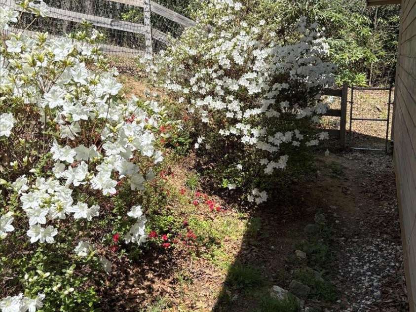 256 West Ridge Drive, Burnsville, NC 28714.  MLS# CAR4259013, YatesRealty ID 19685. 