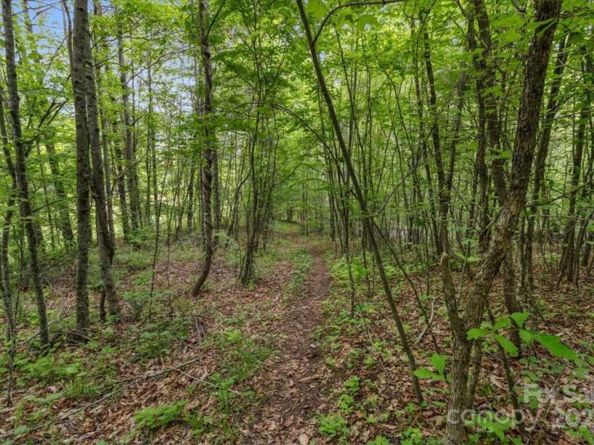 256 West Ridge Drive, Burnsville, NC 28714.  MLS# CAR4259013, YatesRealty ID 19685. 