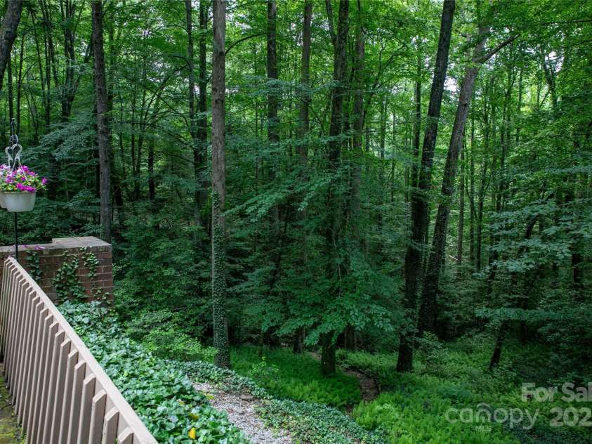 168 River Ridge Road, Brevard, NC 28712.  MLS# CAR4260361, YatesRealty ID 19694. Trails to stream below home