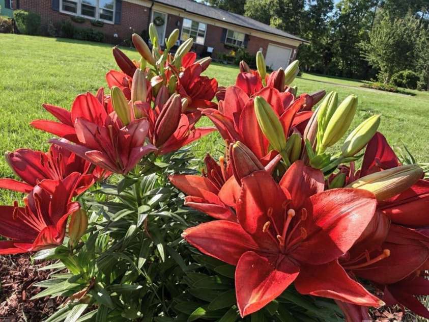 3162 Morganton Boulevard, Lenoir, NC 28645.  MLS# CAR4423973, YatesRealty ID 19745. Virtually Staged