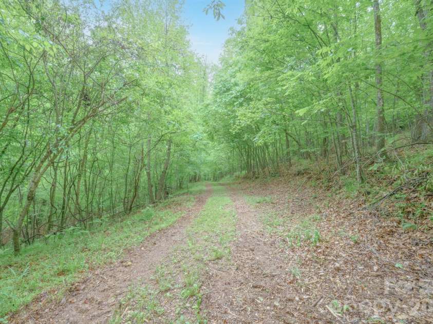 2517 Horseshoe Road, Westfield, NC 27053.  MLS# CAR4379017, YatesRealty ID 19759. 