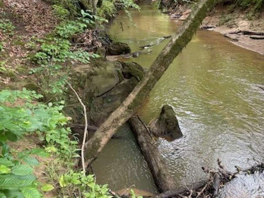 1276 Jericho Church Road, Mocksville, NC 27028.  MLS# CAR4265652, YatesRealty ID 19782. 