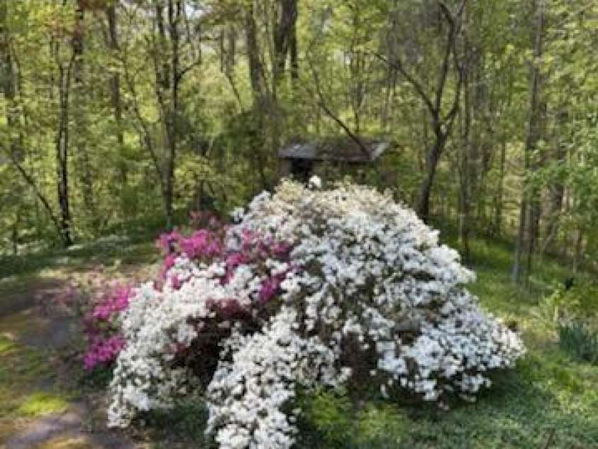 1276 Jericho Church Road, Mocksville, NC 27028.  MLS# CAR4265652, YatesRealty ID 19782. 