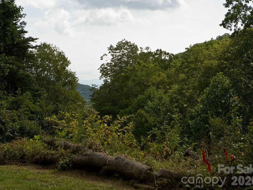 165 Peepeye Cove Road, Leicester, NC 28748.  MLS# CAR4378001, YatesRealty ID 19846. Long range view