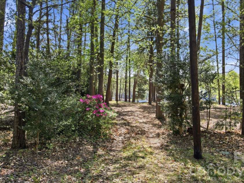 15609 Chatfield Drive, Charlotte, NC 28278.  MLS# CAR4371111, YatesRealty ID 19867. 