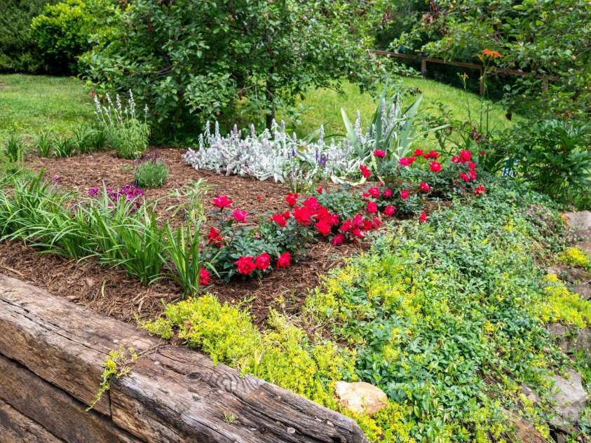 41 Michigan Avenue, Asheville, NC 28806.  MLS# CAR4263731, YatesRealty ID 19868. Established Landscaping