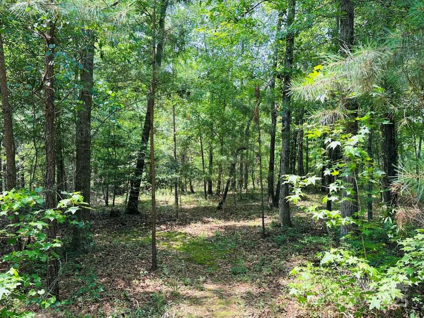 2618 Pineview Drive, Lancaster, SC 29720.  MLS# CAR4263845, YatesRealty ID 19900. Additional wooded area to work with or keep natural.