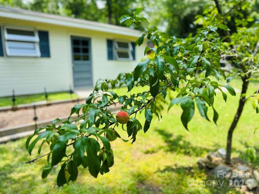2618 Pineview Drive, Lancaster, SC 29720.  MLS# CAR4263845, YatesRealty ID 19900. Just in time for summer...peach ice cream or cobbler from your own peach tree