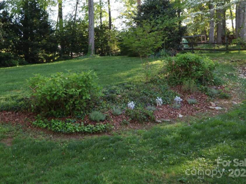 3828 Chandworth Road, Charlotte, NC 28210.  MLS# CAR4215813, YatesRealty ID 19909. Lovely garden of Hydrangeas, Lavender, Ivy and Dusty Miller