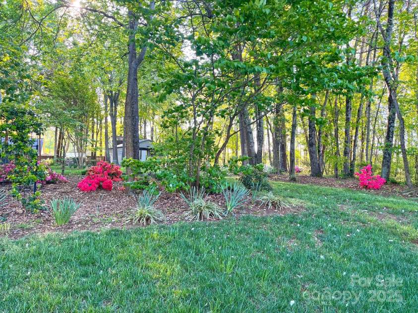 161 Picwyck Drive, Mooresville, NC 28115.  MLS# CAR4211316, YatesRealty ID 20000. Flowering Bushes Throughout the Grounds