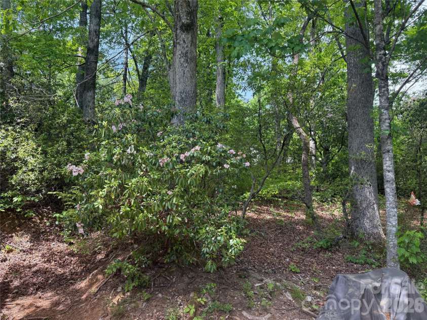 39 Lisa Court, Otto, NC 28763.  MLS# CAR4379777, YatesRealty ID 20053. 