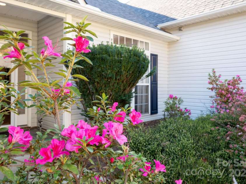 207 Farm Creek Drive, Asheville, NC 28806.  MLS# CAR4320360, YatesRealty ID 20088. Ok, back to the house. Established landscaping is a nice touch.