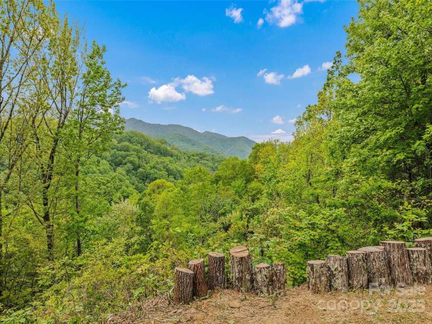 328 Mountain Lion Trail, Maggie Valley, NC 28751.  MLS# CAR4256030, YatesRealty ID 20091. 