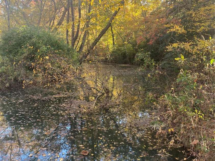 2818 Rockford Road, Shelby, NC 28152.  MLS# CAR4200590, YatesRealty ID 2017. 