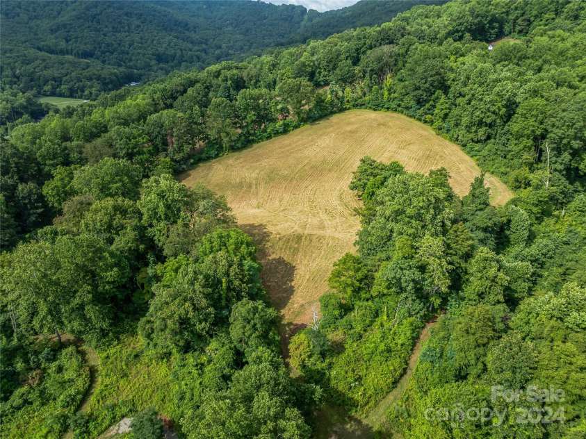 1397 & 1401 Newfound Road, Leicester, NC 28748.  MLS# CAR4167321, YatesRealty ID 2020. 