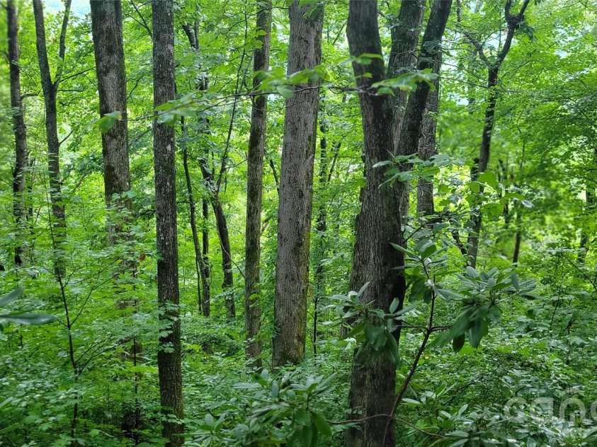 445 Allison Drive, Maggie Valley, NC 28751.  MLS# CAR4346332, YatesRealty ID 2020. Additional lower lot