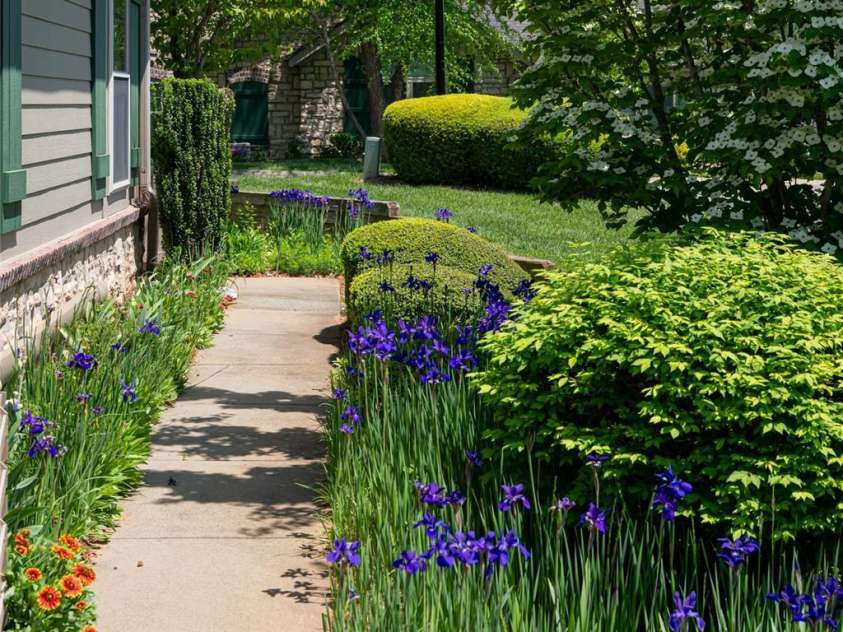 55 Outlook Circle, Swannanoa, NC 28778.  MLS# CAR4267011, YatesRealty ID 20219. Beautiful perennials outline your walk to the front patio - early spring.