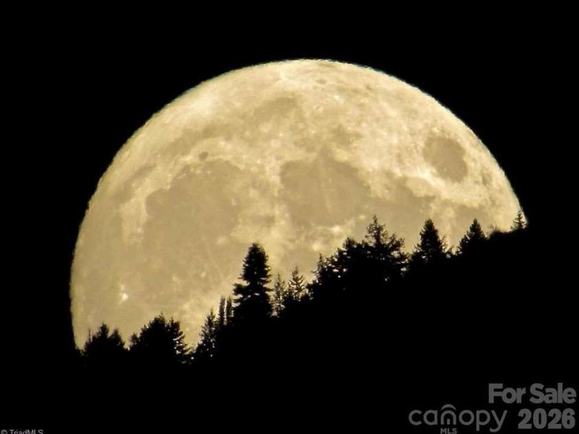 204 Violet Ridge, Lowgap, NC 27024.  MLS# CAR4335241, YatesRealty ID 2024. 