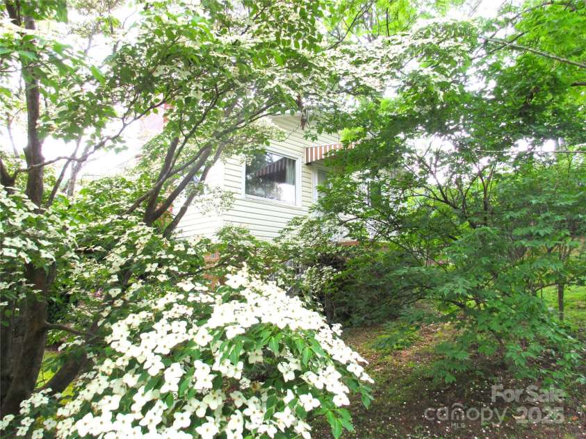 180 White Dogwood Lane, Lake Junaluska, NC 28745.  MLS# CAR4252338, YatesRealty ID 20241. View of House thru the Dogwood Tree