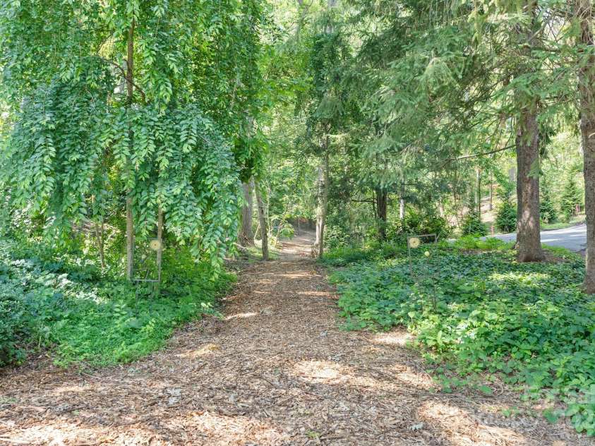 6 Willow Road, Asheville, NC 28804.  MLS# CAR4268653, YatesRealty ID 20254. UNCA TRAIL ACCESS AT THE END OF WILLOW RD