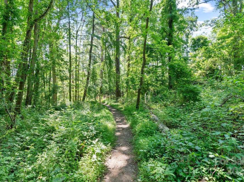 6 Willow Road, Asheville, NC 28804.  MLS# CAR4268653, YatesRealty ID 20254. UNCA TRAILS