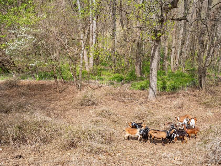 92 Rose Hill Road, Asheville, NC 28803.  MLS# CAR4367333, YatesRealty ID 20297. 
