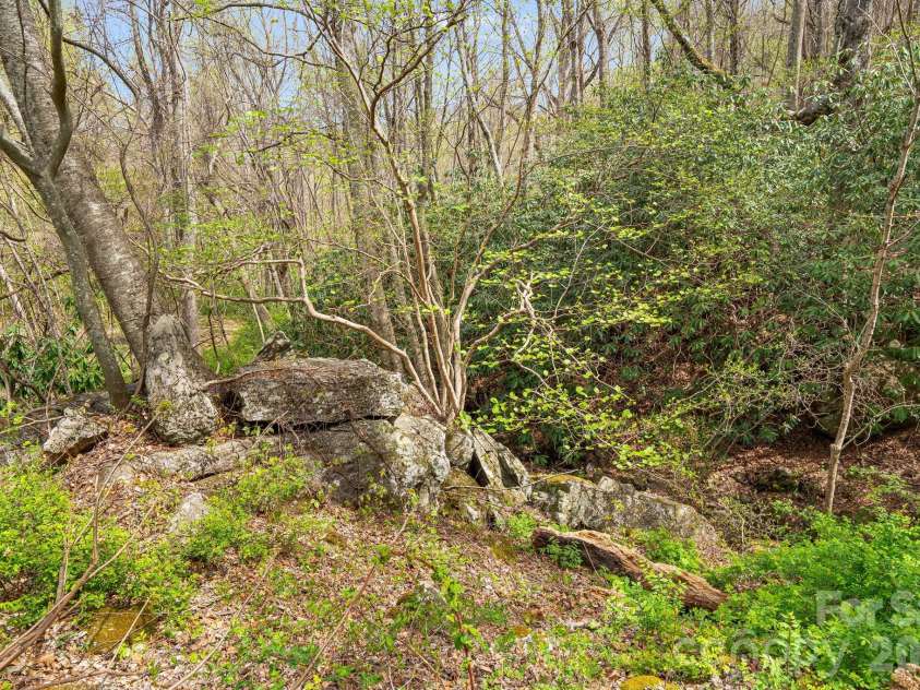92 Rose Hill Road, Asheville, NC 28803.  MLS# CAR4367333, YatesRealty ID 20297. 