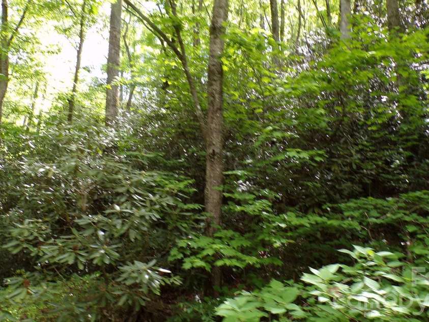 216 Paradise Road, Hendersonville, NC 28792.  MLS# CAR4379597, YatesRealty ID 20303. 