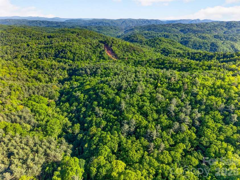 451 Signal Tree Road, Deep Gap, NC 28618.  MLS# CAR4374563, YatesRealty ID 20306. 