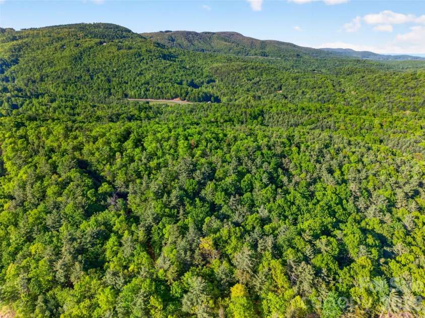 451 Signal Tree Road, Deep Gap, NC 28618.  MLS# CAR4374563, YatesRealty ID 20306. 